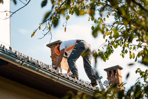 Best Roof Maintenance and Cleaning  in Five Points, NC