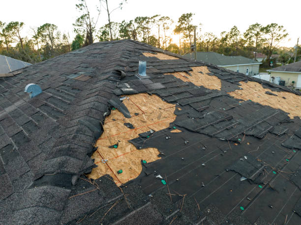 Roof Moss and Algae Removal in Five Points, NC